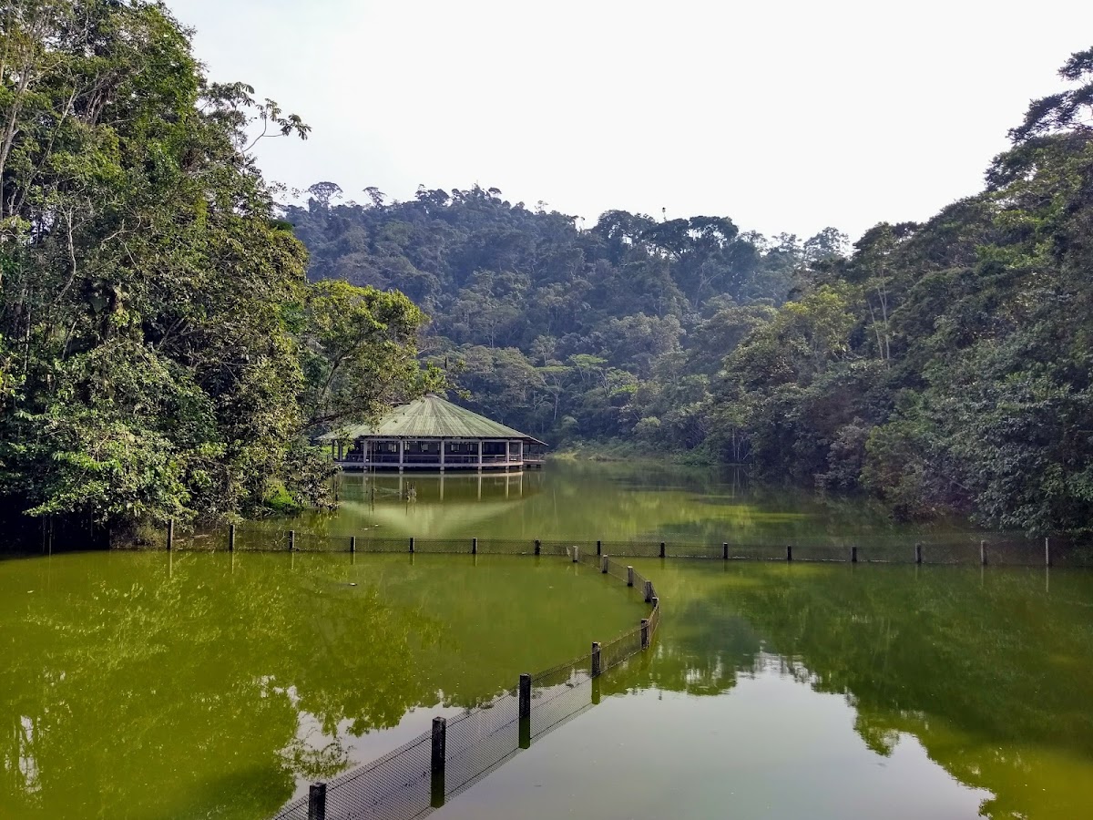 Centro Experimental Amazónico (CEA) — Mocoa, Putumayo