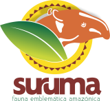 Suruma — fauna emblemática amazónica